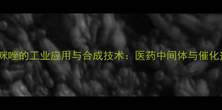 图片 13-二甲基氯化咪唑的工业应用与合成技术：医药中间体与催化剂的全方位指南