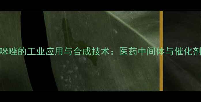 图片 13-二甲基氯化咪唑的工业应用与合成技术：医药中间体与催化剂的全方位指南2