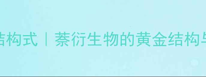 图片 14-二氢化萘结构式｜萘衍生物的黄金结构与应用全指南2