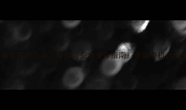 图片 4-甲基2-氨基戊烷的合成、应用与安全操作指南：全面有机合成关键中间体2