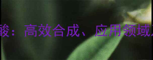 图片 5-甲基二噻吩甲酸：高效合成、应用领域及工业生产技术2