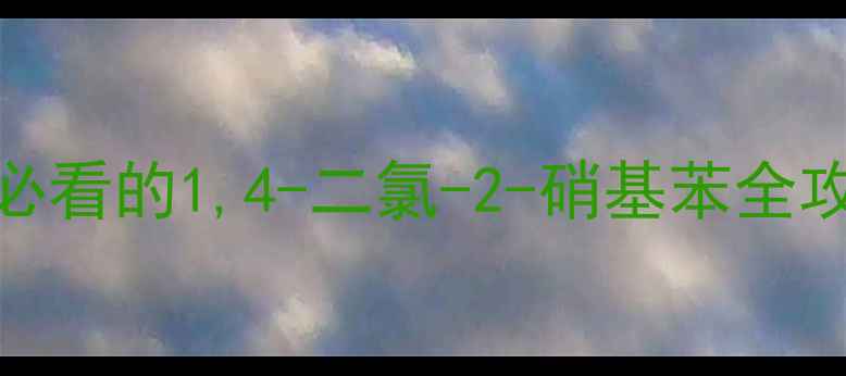 图片 CAS58560深度｜化工人必看的1,4-二氯-2-硝基苯全攻略（附安全操作指南）