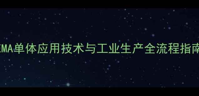 图片 HEMA单体应用技术与工业生产全流程指南1