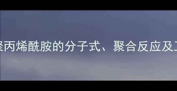 图片 PAA化学结构：聚丙烯酰胺的分子式、聚合反应及工业应用全指南1