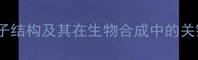 图片 dCTP分子结构及其在生物合成中的关键作用2