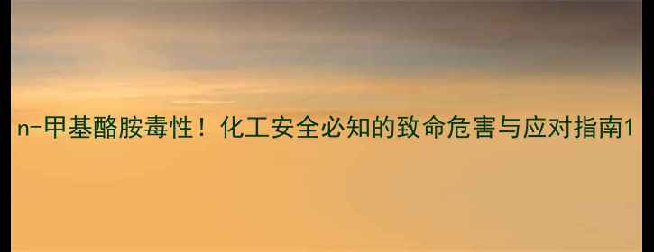 图片 n-甲基酪胺毒性！化工安全必知的致命危害与应对指南1