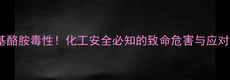 图片 n-甲基酪胺毒性！化工安全必知的致命危害与应对指南2