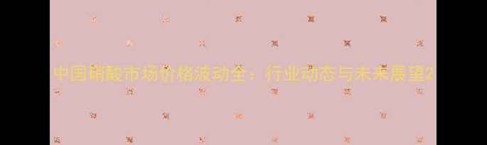 图片 中国硝酸市场价格波动全：行业动态与未来展望2