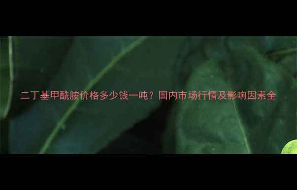 图片 二丁基甲酰胺价格多少钱一吨？国内市场行情及影响因素全