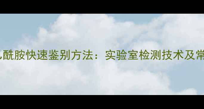 图片 二甲基乙酰胺快速鉴别方法：实验室检测技术及常见误区1