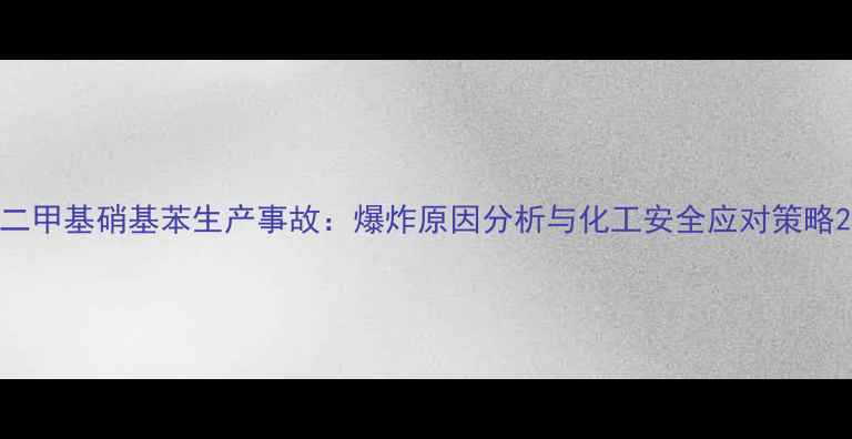 图片 二甲基硝基苯生产事故：爆炸原因分析与化工安全应对策略2
