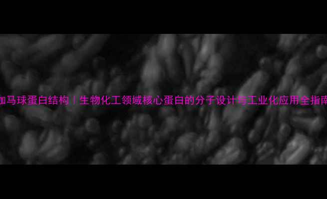 图片 伽马球蛋白结构｜生物化工领域核心蛋白的分子设计与工业化应用全指南