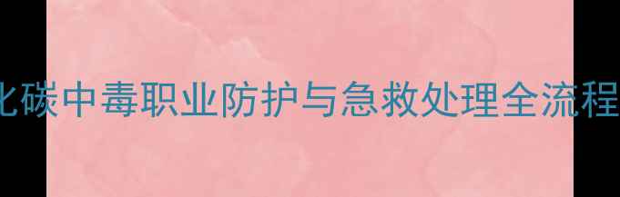 图片 化工事故应急指南：一氧化碳中毒职业防护与急救处理全流程（含设备检修安全规范）1