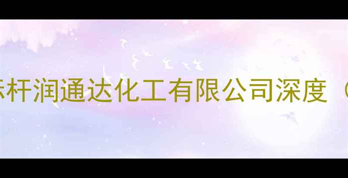 图片 化工行业新标杆润通达化工有限公司深度（最新报告）2