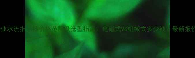 图片 化工行业水流指示器价格范围及选型指南：电磁式VS机械式多少钱？最新报价分析1