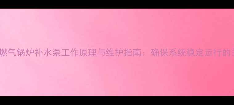 图片 化工行业燃气锅炉补水泵工作原理与维护指南：确保系统稳定运行的关键设备1