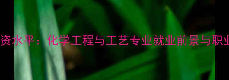图片 化工行业薪资水平：化学工程与工艺专业就业前景与职业发展路径1
