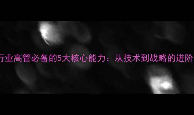 图片 化工行业高管必备的5大核心能力：从技术到战略的进阶指南2