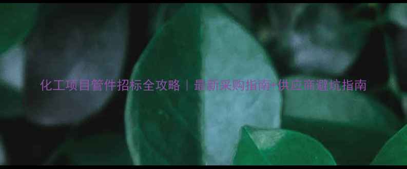 图片 化工项目管件招标全攻略｜最新采购指南+供应商避坑指南