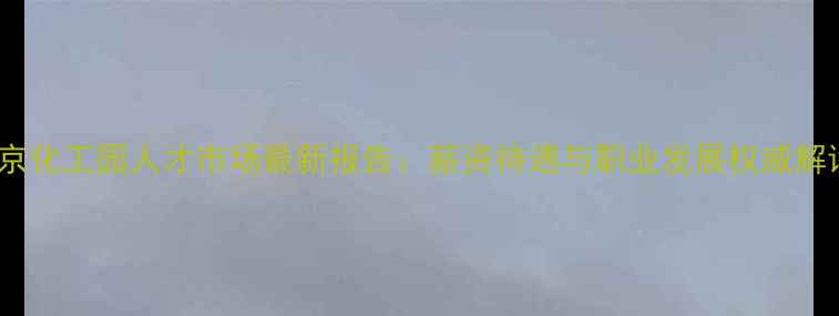 图片 南京化工园人才市场最新报告：薪资待遇与职业发展权威解读2