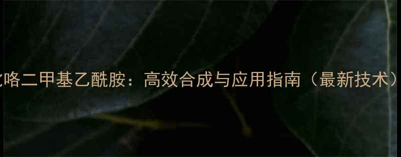 图片 吡咯二甲基乙酰胺：高效合成与应用指南（最新技术）2