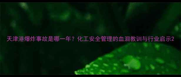 图片 天津港爆炸事故是哪一年？化工安全管理的血泪教训与行业启示2