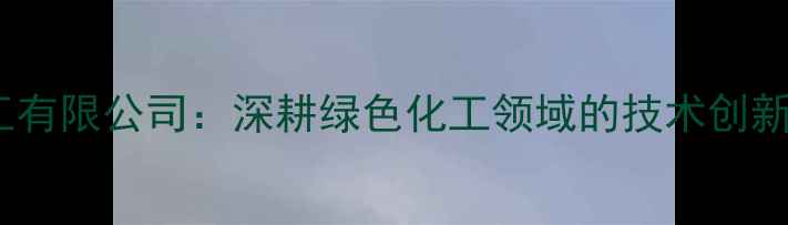 图片 宁夏瑞科新源化工有限公司：深耕绿色化工领域的技术创新与环保实践标杆1