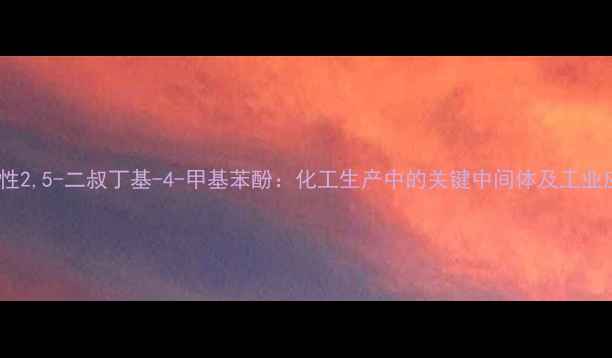 图片 应用与特性2,5-二叔丁基-4-甲基苯酚：化工生产中的关键中间体及工业应用指南2