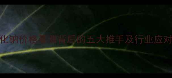 图片 氢氧化钠价格暴涨背后的五大推手及行业应对策略