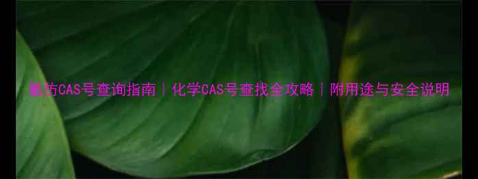 图片 氯仿CAS号查询指南｜化学CAS号查找全攻略｜附用途与安全说明