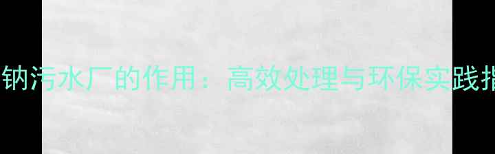 图片 氯酸钠污水厂的作用：高效处理与环保实践指南2