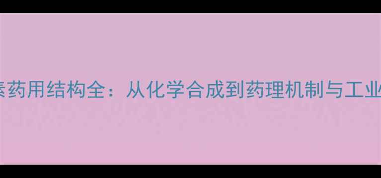 图片 氯霉素药用结构全：从化学合成到药理机制与工业应用2