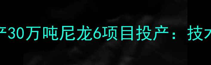 图片 河南平顶山神马化工年产30万吨尼龙6项目投产：技术创新驱动化工产业升级