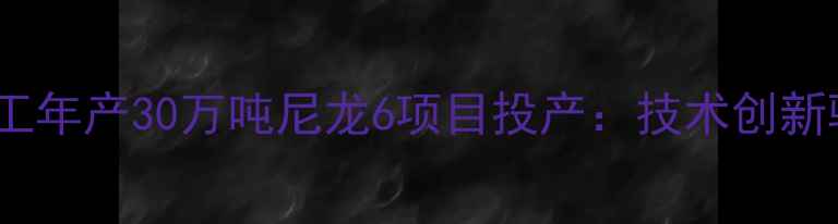 图片 河南平顶山神马化工年产30万吨尼龙6项目投产：技术创新驱动化工产业升级1