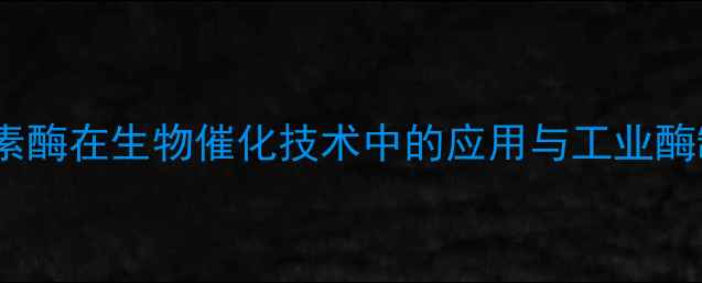图片 焦磷酸硫胺素酶在生物催化技术中的应用与工业酶制剂开发全1
