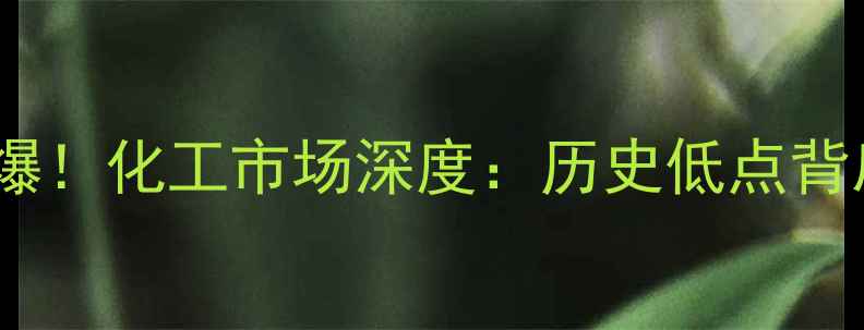 图片 环氧丙烷价格惊爆！化工市场深度：历史低点背后的机遇与风险1