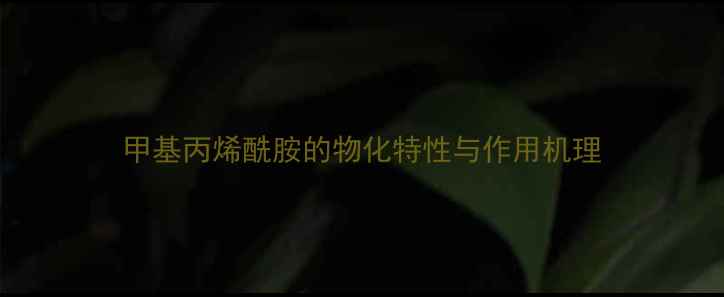 图片 甲基丙烯酰胺的物化特性与作用机理