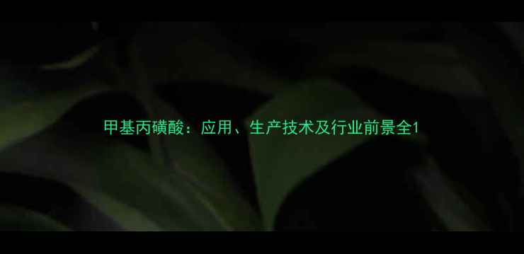 图片 甲基丙磺酸：应用、生产技术及行业前景全1