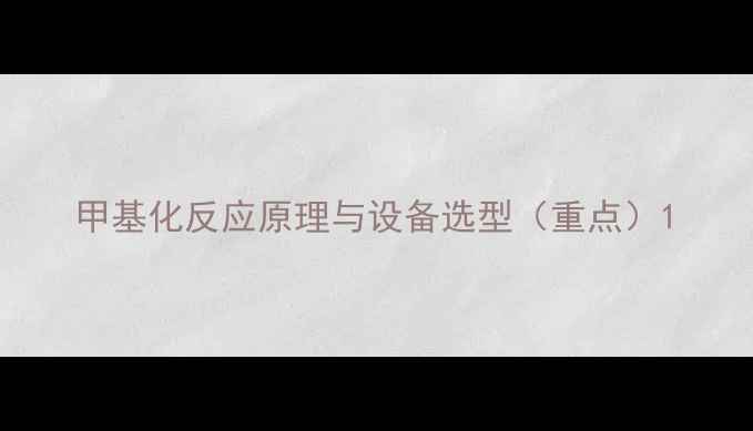 图片 甲基化反应原理与设备选型（重点）1