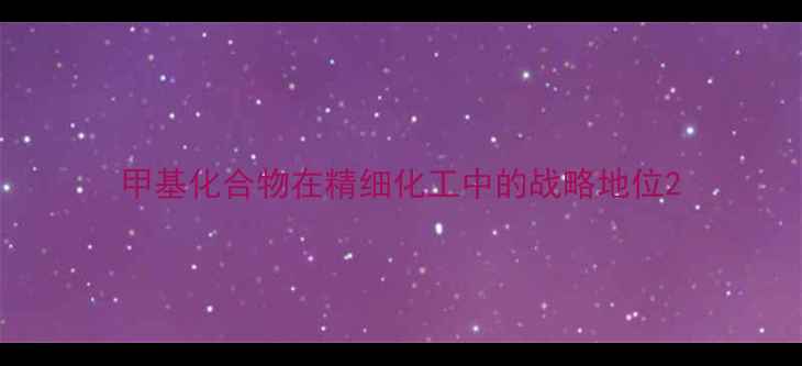 图片 甲基化合物在精细化工中的战略地位2