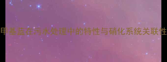 图片 甲基蓝在污水处理中的特性与硝化系统关联性