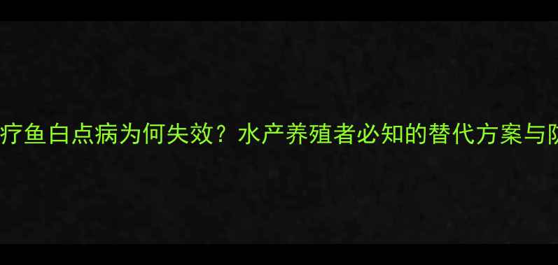 图片 甲基蓝治疗鱼白点病为何失效？水产养殖者必知的替代方案与防控策略1