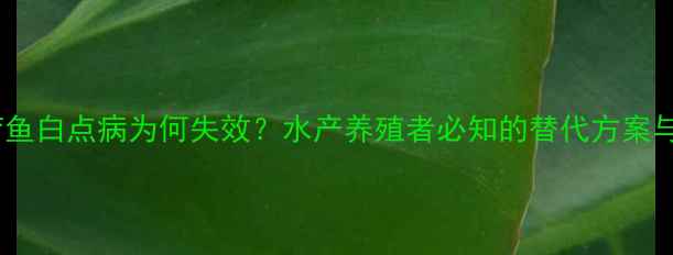 图片 甲基蓝治疗鱼白点病为何失效？水产养殖者必知的替代方案与防控策略2