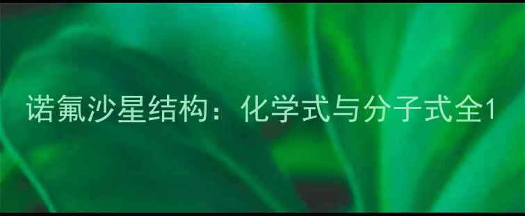 图片 诺氟沙星结构：化学式与分子式全1