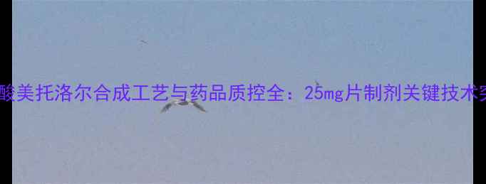 图片 酒石酸美托洛尔合成工艺与药品质控全：25mg片制剂关键技术突破2