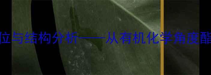 图片 酚类化合物中酯基的定位与结构分析——从有机化学角度酯基在酚环上的分布规律