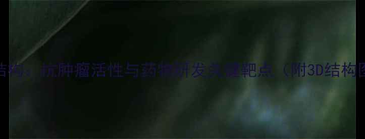 图片 阿帕替尼分子结构：抗肿瘤活性与药物研发关键靶点（附3D结构图与合成路线）