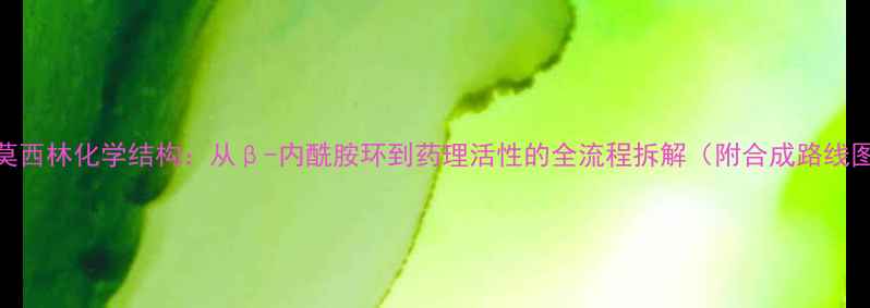 图片 阿莫西林化学结构：从β-内酰胺环到药理活性的全流程拆解（附合成路线图）