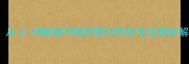 图片 阿莫西林化学结构：从β-内酰胺环到药理活性的全流程拆解（附合成路线图）1