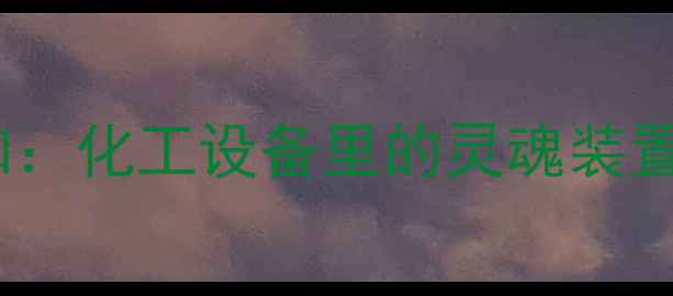 图片 🌊开篇认知：化工设备里的灵魂装置长啥样？2